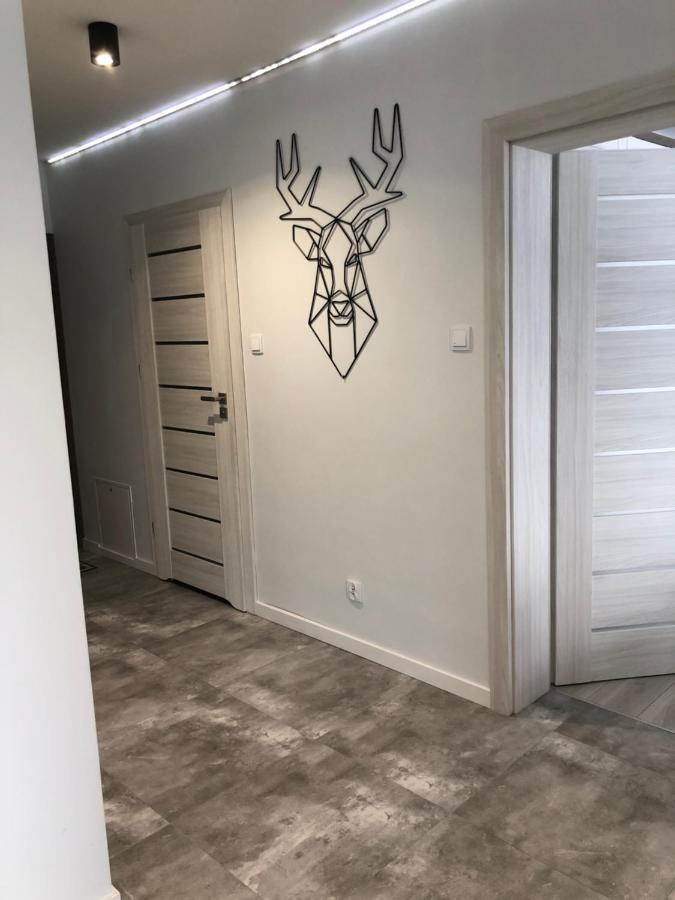 Apartament Happiness Jelenia Góra Екстериор снимка